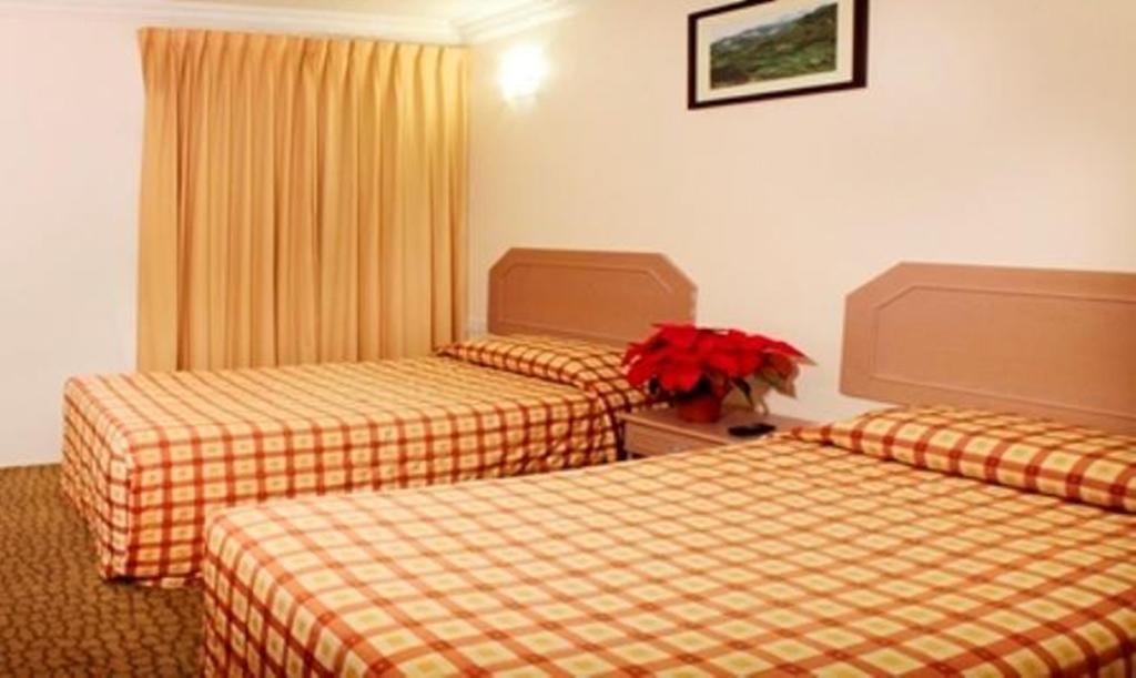 Jasmine Hotel Κάμερον Χάιλαντς Εξωτερικό φωτογραφία